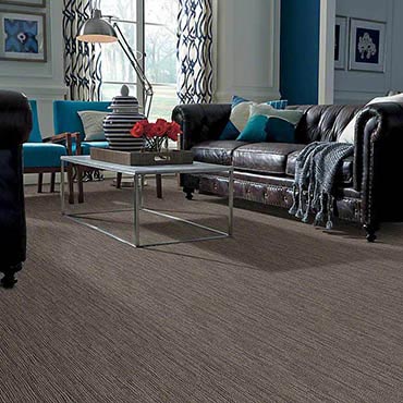 Anso® Nylon Carpet | Medford, MA