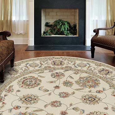 Dynamic Rugs  | Medford, MA